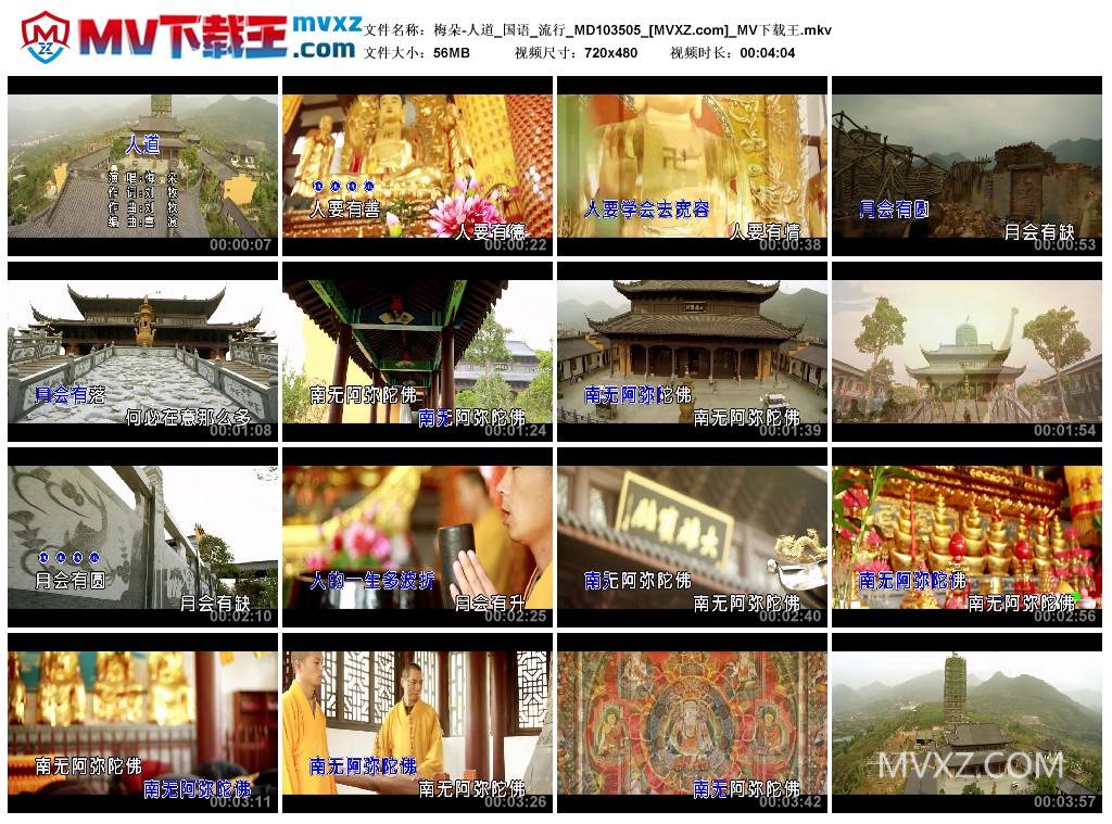 梅朵-人道_国语_流行_MD103505